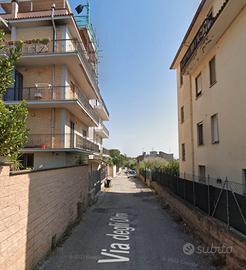 Albano laziale bilocale arredato