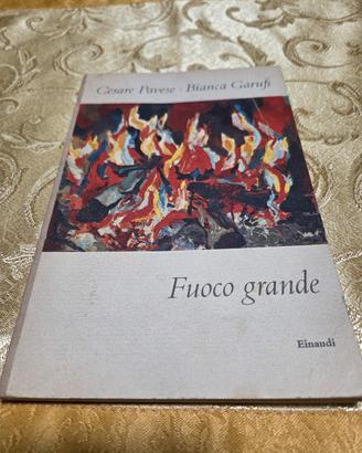Libro Fuoco Grande di Pavese
