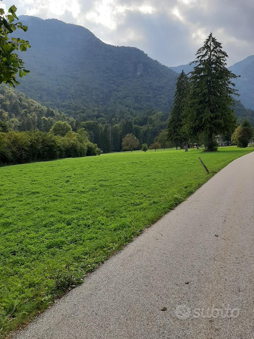 TERRENO AGRICOLO - Altro