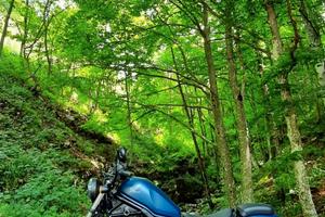 Honda CMX 500 Rebel - 2020