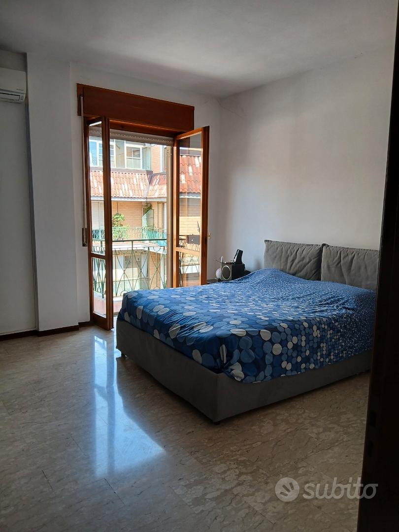 Appartamento – Campobasso, Centro Murattiano - Vista 4
