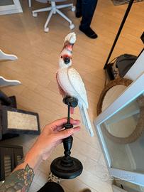 Pappagallo decorativo Maison du Monde