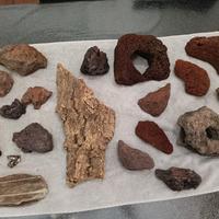 rocce e legni per acquario 
