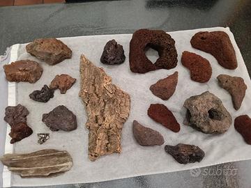 rocce e legni per acquario 