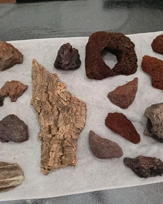 rocce e legni per acquario 