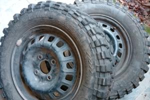 gomme e cerchi panda