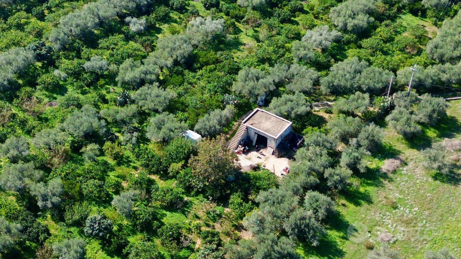 Terreno con magazzino a Partinico, Cda Principe - Vista 2