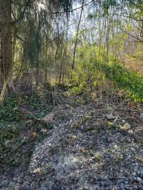 Terreno agricolo 6.300 mq