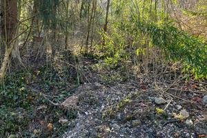 Terreno agricolo 6.300 mq