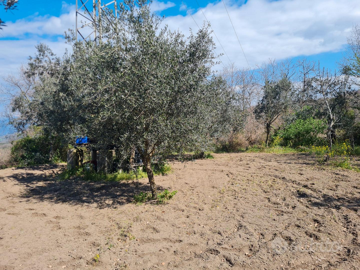 Terreno agricolo San Carlo Vallefrischi - Vista 5