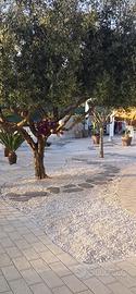 Sassi pedonali camminamento