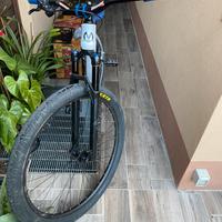sava bici modificata