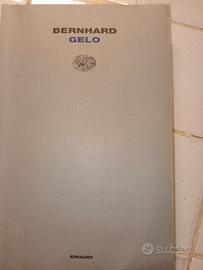 BERNHARD GELO EINAUDI LETTURE EINAUDI 11