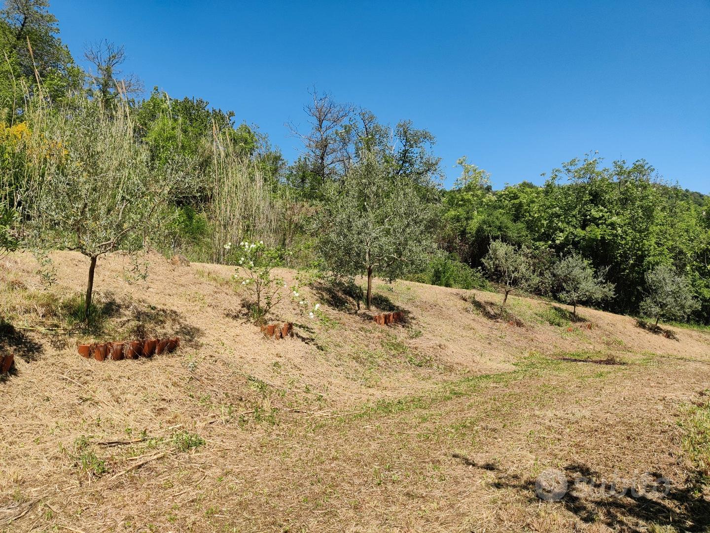 Villa immersa nel verde - Vista 3