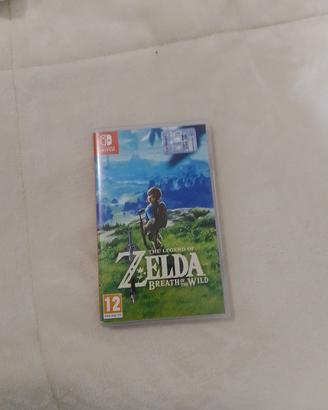 the Legend of Zelda btw