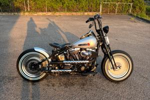 Harley Davidson Heritage Springer
