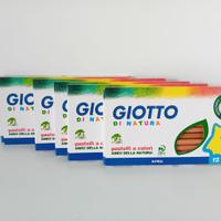 pastelli Giotto Natura da 12 colori 5 astucci