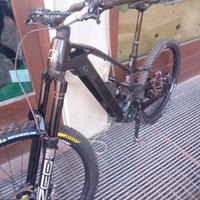 E-Mtb OLYMPIA MURDOK 2024