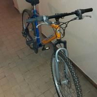 MOUNTAIN BIKE RUN&BIKE VALLEY