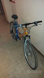 MOUNTAIN BIKE RUN&BIKE VALLEY