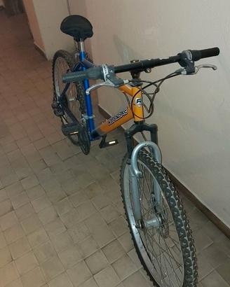 MOUNTAIN BIKE RUN&BIKE VALLEY