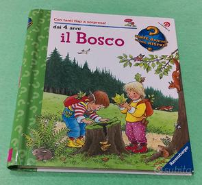 Il Bosco, La Coccinella, Quante Domande Quante Ris