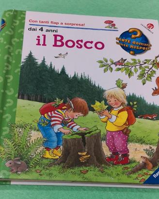 Il Bosco, La Coccinella, Quante Domande Quante Ris