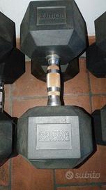 Manubrio HEX esagonale gommato da 22.5kg