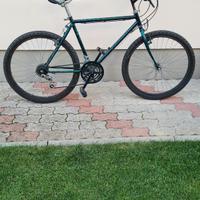 bicicletta monan bike