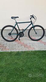 bicicletta monan bike