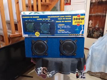 casse portatili da 300w
