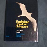 Il gabbiano jonathan livingston