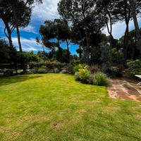 Giardiniere - potatore - taglio erba- legna