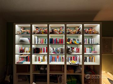 Libreria illuminata