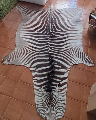 Tappeto/pelle di zebra naturale