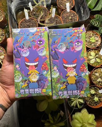 Box 151c pokemon Pikachu Gengar Chinese
