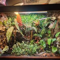 si effetuano  sfondi 3d su misura  e allestimento 