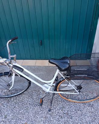 Bici da donna con cestino posteriore
