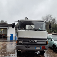 Camion con gru
