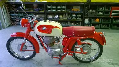 MV Agusta Altro modello - Anni 60