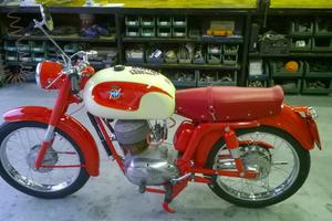 MV Agusta Altro modello - Anni 60