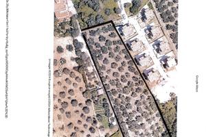 408 Terreno in zona collinare