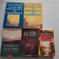 Blocco libri Celestino - James Redfield