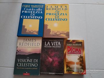 Blocco libri Celestino - James Redfield