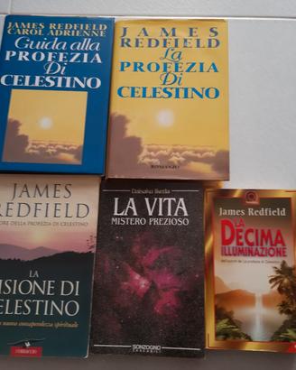 Blocco libri Celestino - James Redfield