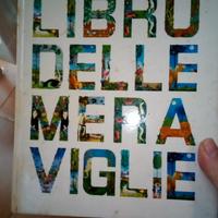 Libro delle Meraviglie Walt Disney 1961
Copertina 