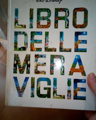 Libro delle Meraviglie Walt Disney 1961
Copertina 