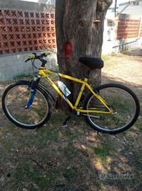 Mountain bike uomo