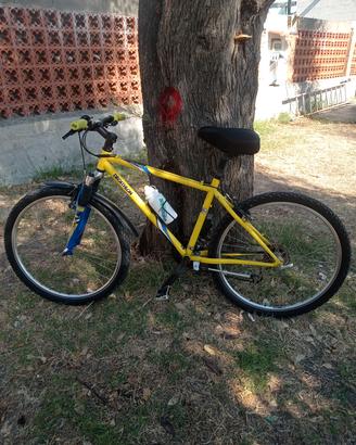 Mountain bike uomo
