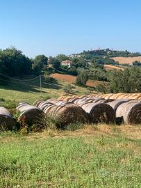 Terreno Agricolo